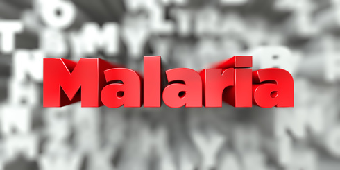 Malária e gravidez Malária e gravidez