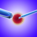 o que é a fertilização in vitro