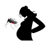 repelentes na gravidez