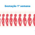 gestação 1 semana
