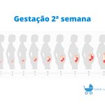 Gravidez 2 semanas