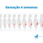 Gravidez 4ª semana