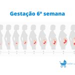 Gravidez 6 semanas