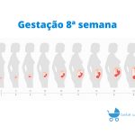 gravidez 8 semanas