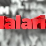 Malária e gravidez