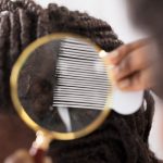 infestação de piolhos e lêndeas