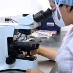 Citologia na gravidez