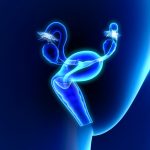 Gravidez nas trompas