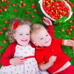 introduzir o morango na alimentação do bebé