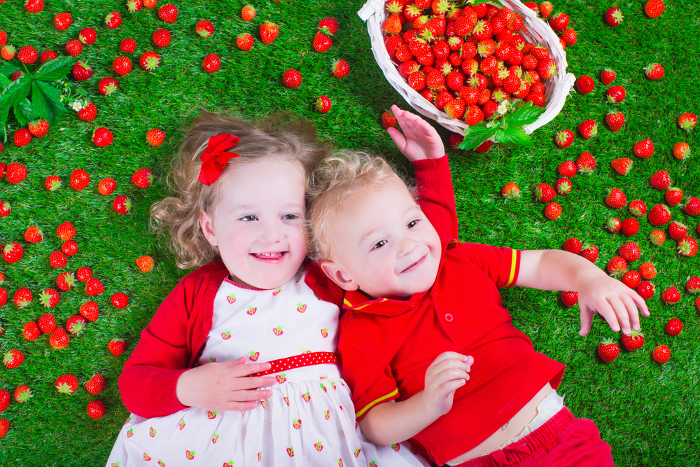 introduzir o morango na alimentação do bebé