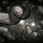 Cólera, a palavra quase proibida