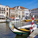 mercúrio em gestantes de Aveiro