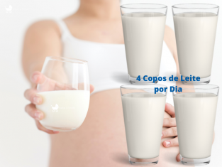 4 copos de leite por dia